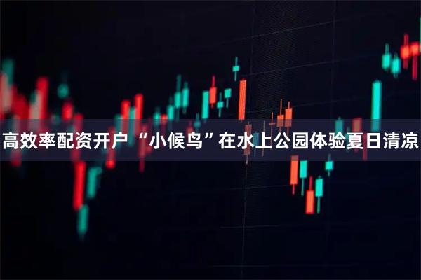 高效率配资开户 “小候鸟”在水上公园体验夏日清凉