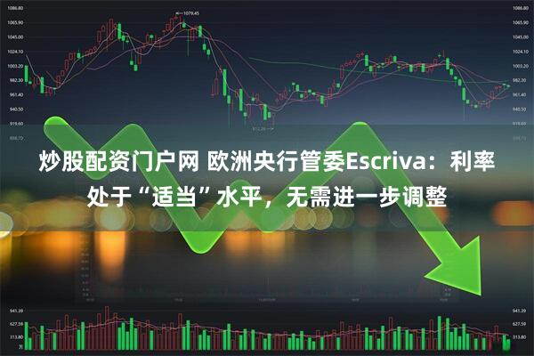 炒股配资门户网 欧洲央行管委Escriva：利率处于“适当”水平，无需进一步调整